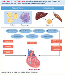 obesity pathophysiology and management sciencedirect