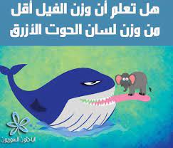 يحتاج اليوم الكثير من الناس إلى تدريب العقل والعمل على تنشيطه من وقت إلى الآخر ويتم ذلك الأمر من خلال حل العديد من أسئلة الذكاء الصعبة والتدرج في مستوى الصعوبة، حيث يؤدي إهمال تلك النقطة. Ø§Ù„Ø¨Ø§Ø­Ø«ÙˆÙ† Ø§Ù„Ø³ÙˆØ±ÙŠÙˆÙ† ÙˆØ²Ù† Ù„Ø³Ø§Ù† Ø§Ù„Ø­ÙˆØª