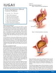 Image result for Fecal Incontinence