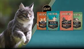 A line of plush animals with special game codes on them that would allow. Super Premium Pet Food Dog And Cat Food Victor Pet Food