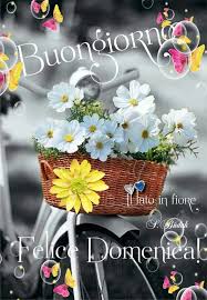 Pin Di Viorica Alb Su Buona Domenica Domenica Buona Domenica Immagini