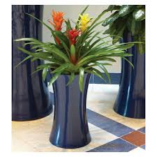 Enjoy fast delivery, best quality and cheap price. Interior Plant Displays Botany Bottle