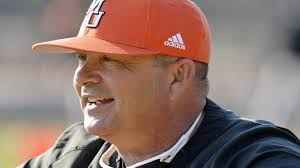 Major league baseball: Baseball fantasy weeks can be a dream for those who  take part