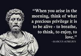Is This Quote Actually From Meditations R Books