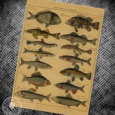 Us 1 99 Vintage Paper Poster Fish Shark Chart Retro Painting Wall Sticker Print And Picture Classic Wallpaper Home Deocration 42x30cm In Wall