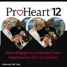 Check spelling or type a new query. Stop By Our Walk In Vaccine Clinic To Harmony Vet Care Facebook