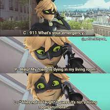 Pin By Ma Ri On Miraculous Ladybug Miraculous Ladybug Memes Miraculous Ladybug Comic Miraculous Ladybug Funny