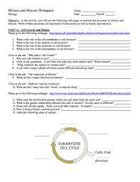 During mitosis, homologous chromosomes behave independently. Meiosis Webquest Fill Online Printable Fillable Blank Pdffiller