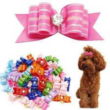 See over 1,257,891 short hair images on danbooru. Bows For Dogs With Short Hair Online