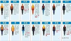 身体是 情绪的地图 引导我们更好与世界相处 cosmic energy the power of belief inductive reasoning