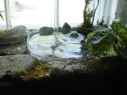 How to make waterfalls with moss wall & mist maker in a aquaterrarium no co2,no filter,no ferts how to take care of. Make A Big Terrarium With A Pool And Waterfall Rock Waterfall Fairy Garden Terrarium