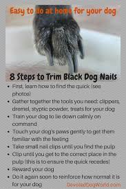 Jun 30, 2020 · here's how to cut dog nails safely: Pin On Dog Grooming