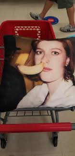 I yelled DUDE pretty loud when I came across this pillow at the Rescue  Mission thrift store in Humboldt County CA.