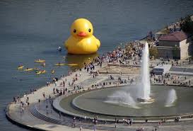 Bird On The Run Pittsburgh Pin By Rita Marburger Reifenstein On Pittsburgh Pittsburgh Attractions Pittsburgh City Pittsburgh