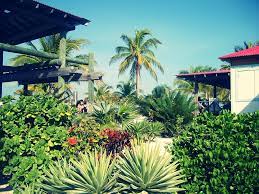 Princess Cays | kitkatkatty | Flickr