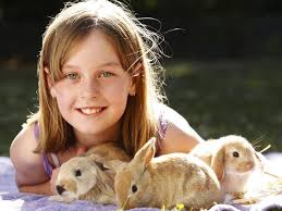Rabbits rocked by killer disease