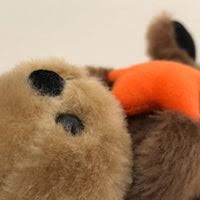 In addition to being a major tourist attraction for vancouver, the aquarium is a centre for marine research, ocean literacy education,. Vancouver Aquarium Gift Shop Stanley Park 2 Tips From 210 Visitors