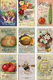 Pin By The Typologist Collector Of C On Material Culture Typology Vintage Seed Packets Seed Catalogs Seed Packaging