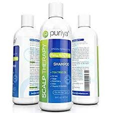Biolage Scalpsync Anti Dandruff Shampoo Review The 19 Best Dandruff Shampoos For Women Reviews 2020 Deep Conditioner Treatment Deep Hair Conditioner Tea Tree Oil Shampoo