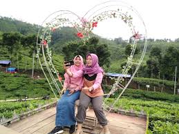 Wisata Jember Gunung Gambir Tempat Wisata Indonesia