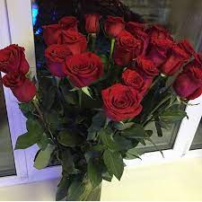 only for you my love blooming flowers bunch of red roses flower aesthetic
