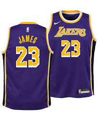 You live and breathe the lakers. Lebron James Jersey Purple 954165