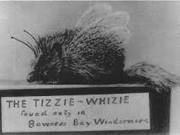 The story of the Lake District's mythical Tizzie-Whizie - LancsLive