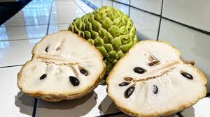 Image result for Annona muricata