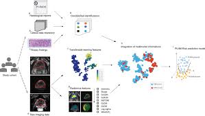 Not only does the stage tell you how serious the disease is, but it can help you and. Integration Of Clinicopathologic Identification And Deep Transferrable Image Feature Representation Improves Predictions Of Lymph Node Metastasis In Prostate Cancer Ebiomedicine