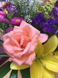 Bayberry, beach plum, eastern red cedar. Long Beach Florist Inc Home Facebook