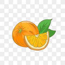 شكل توضيحي مرسومة باليد برتقال برتقالي مواد فواكه عنصر فواكه فاكهة مرسومة png وملف psd للتحميل مجانا orange fruit orange how to draw hands