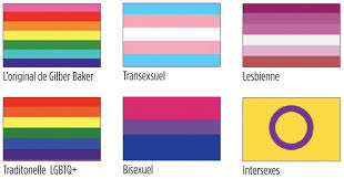 Becoming familiar with terms used by lesbian, gay, bisexual, transgender, queer, intersex, asexual, and other sexual and gender minorities (lgbtqia+) can help you provide patients with the highest quality. Drapeaux Lgbt