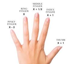 The Ring Size Chart Measure Ring Size Rings Middle