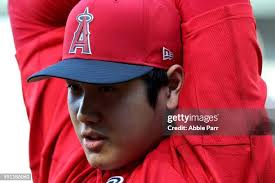 67,062 Abbie Stock Photos, High-Res Pictures, and Images