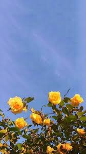 39 Funny Cartoon Wallpaper Ideas Make You Happy Cartoon Vans Iphone Background Vsco En 2019 Iphone Wallpaper Vintage Sunflower Wallpaper Artsy Wallpaper Iphone