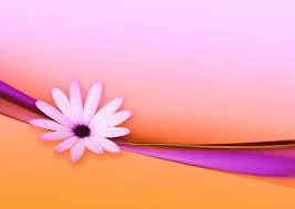 It's a lovely style and a great length as well as being extremely good value. Flower And Ribbon Abstract Free Stock Photos Rgbstock Free Stock Images Gramps August 25 2011 99