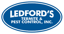 Turn off your exterior porch lights and spot lights! Charleston Pest Control Extermination Ledford S Pest Control