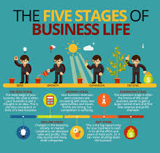 The business management definition is managing the coordination and organization of business activities. Stages Of A Business Small Business Organization Business Management Infographic