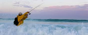 Browse the saltwater tackle pages at tackledirect or use our search box to look for specific products. Surf Fishing Rods How To Choose For Sale Outdoor Pro Shop