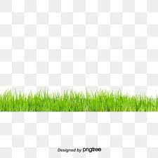 Grass Grass Clipart Green Png Transparent Clipart Image And Psd File For Free Download Grass Clipart Green Grass Background Grass Flower