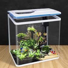 Check spelling or type a new query. Water Free Ecological Fish Tank Small Aquarium Self Circulating Living Room Goldfish Tank Smart Desktop Lazy Home Creative Buy At The Price Of 93 02 In Aliexpress Com Imall Com