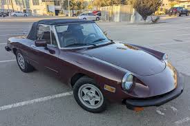 Image result for Avorio 1982 Alfa-Romeo