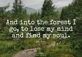 Aim High Inspirierende Wanderspruche Und Bergzitate