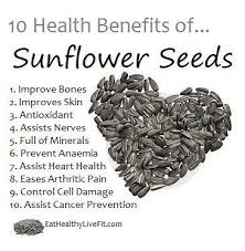 Setiap pergerakan bunga matahari untuk mengikuti terbit dan terbenamnya matahari melambangkan kesetiaan. Kuaci Rebo 10 Manfaat Biji Bunga Matahari Bagi Kesehatan Facebook