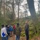 Lantra Basic Tree Survey & Inspection [31 October event image