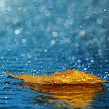 Your rain sounds is awesome and very relaxing, thank you. Relaxing Sounds Of Rain Voices For Android Apk Download
