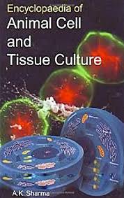 We did not find results for: Encyclopaedia Of Animal Cell And Tissue Culture A K Sharma 9788126157082 Amazon Com Books
