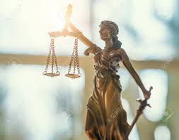 Image result for Justicia nuttii