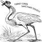 Turkey Creeks 5K Trail Run