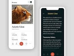 Museum App Wip App Museum App Design